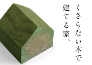 佐藤ホームでは、緑の柱を標準仕様としております。「くさらない木」「シロアリに食べられない木」で安心の家づくりを。