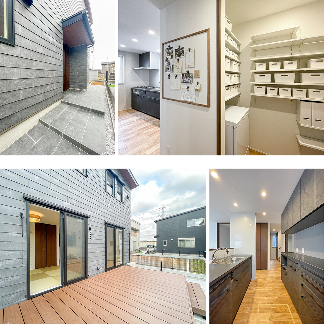 見どころポイント