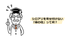 シロアリ　緑の柱